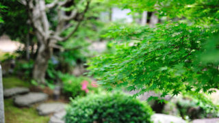 【京都に佇む】並河靖之七宝記念館記念館とは？基本情報から特徴・歴史も紹介